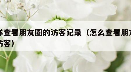 怎样查看朋友圈的访客记录（怎么查看朋友圈的访客）