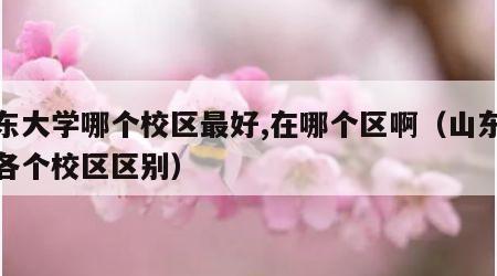 山东大学哪个校区最好,在哪个区啊（山东大学各个校区区别）
