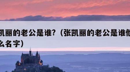 张凯丽的老公是谁?（张凯丽的老公是谁他叫什么名字）