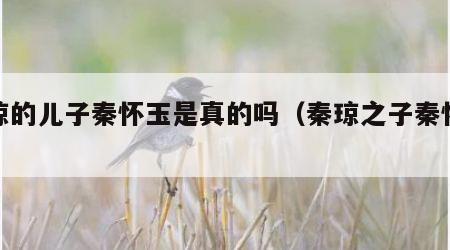秦琼的儿子秦怀玉是真的吗（秦琼之子秦怀道）