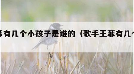 王菲有几个小孩子是谁的（歌手王菲有几个孩子）