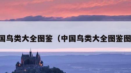 中国鸟类大全图鉴（中国鸟类大全图鉴图片）