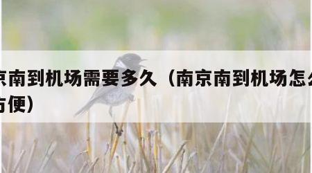 南京南到机场需要多久（南京南到机场怎么走最方便）
