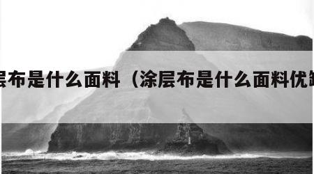 涂层布是什么面料（涂层布是什么面料优缺点）