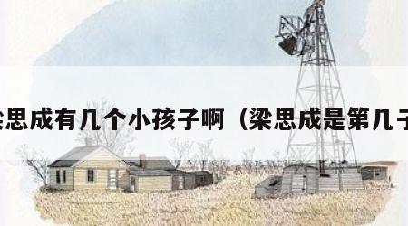 梁思成有几个小孩子啊（梁思成是第几子）