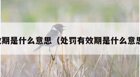 效期是什么意思（处罚有效期是什么意思）