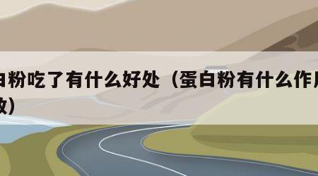 蛋白粉吃了有什么好处（蛋白粉有什么作用与功效）