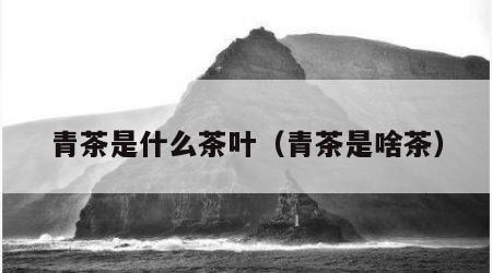 青茶是什么茶叶（青茶是啥茶）