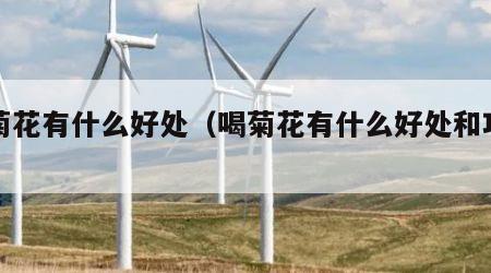 喝菊花有什么好处（喝菊花有什么好处和功效）