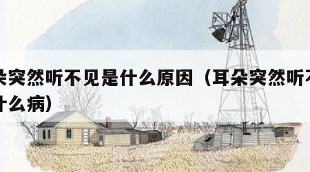 耳朵突然听不见是什么原因（耳朵突然听不见是什么病）