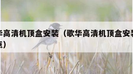 歌华高清机顶盒安装（歌华高清机顶盒安装后花点）