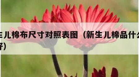 新生儿棉布尺寸对照表图（新生儿棉品什么牌子好）