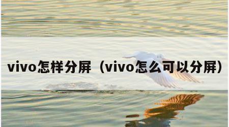 vivo怎样分屏（vivo怎么可以分屏）