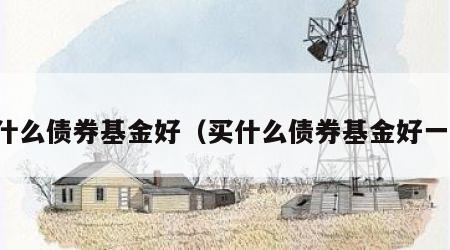 买什么债券基金好（买什么债券基金好一点）