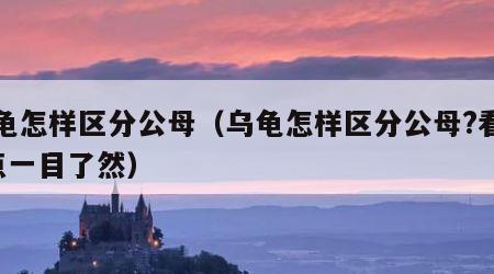 乌龟怎样区分公母（乌龟怎样区分公母?看这4点一目了然）