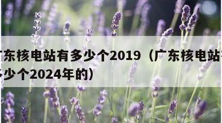 广东核电站有多少个2019（广东核电站有多少个2024年的）