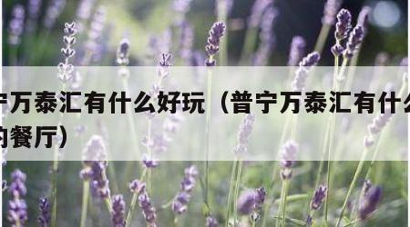 普宁万泰汇有什么好玩（普宁万泰汇有什么好吃的餐厅）