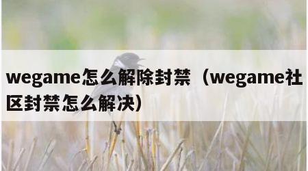 wegame怎么解除封禁（wegame社区封禁怎么解决）