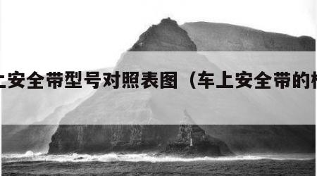 车上安全带型号对照表图（车上安全带的标志）