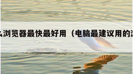 什么浏览器最快最好用（电脑最建议用的浏览器）