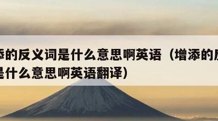 增添的反义词是什么意思啊英语（增添的反义词是什么意思啊英语翻译）