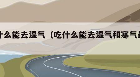 吃什么能去湿气（吃什么能去湿气和寒气最有效）