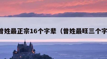曾姓最正宗16个字辈（曾姓最旺三个字）