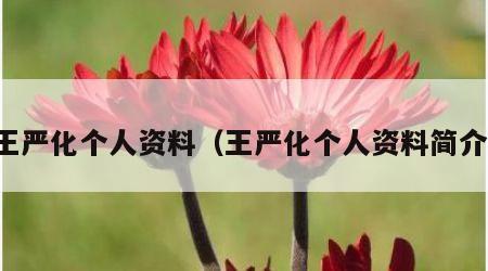 王严化个人资料（王严化个人资料简介）
