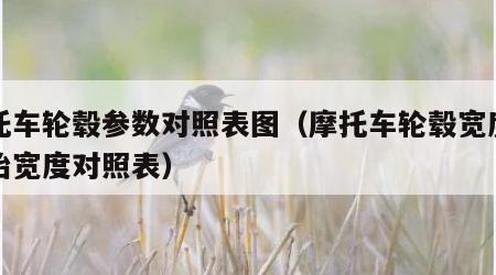 摩托车轮毂参数对照表图（摩托车轮毂宽度与轮胎宽度对照表）