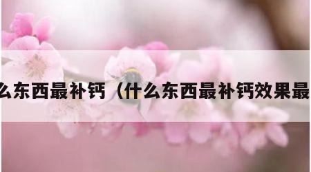 什么东西最补钙（什么东西最补钙效果最好）