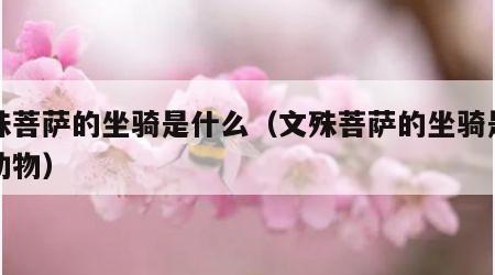 文殊菩萨的坐骑是什么（文殊菩萨的坐骑是什么动物）