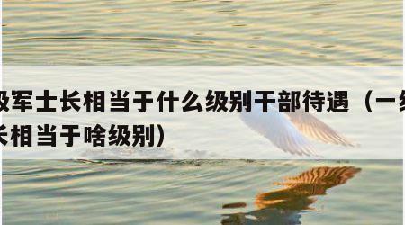 一级军士长相当于什么级别干部待遇（一级军士长相当于啥级别）