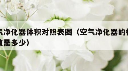 空气净化器体积对照表图（空气净化器的标准数值是多少）
