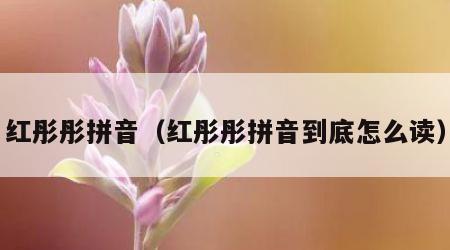 红彤彤拼音（红彤彤拼音到底怎么读）