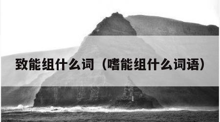 致能组什么词（嗜能组什么词语）