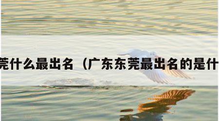 东莞什么最出名（广东东莞最出名的是什么）