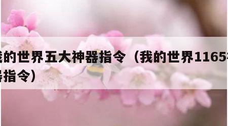 我的世界五大神器指令（我的世界1165神器指令）