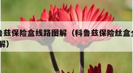 科鲁兹保险盒线路图解（科鲁兹保险丝盒全图 图解）