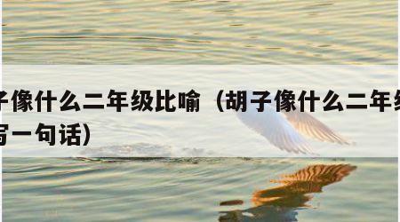 胡子像什么二年级比喻（胡子像什么二年级比喻写一句话）