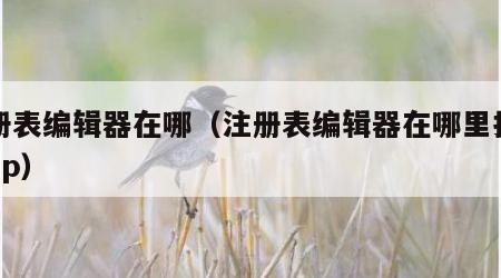 注册表编辑器在哪（注册表编辑器在哪里打开dmp）