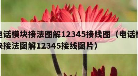 电话模块接法图解12345接线图（电话模块接法图解12345接线图片）