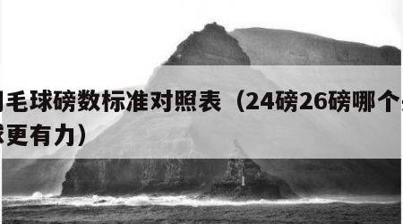 羽毛球磅数标准对照表（24磅26磅哪个杀球更有力）