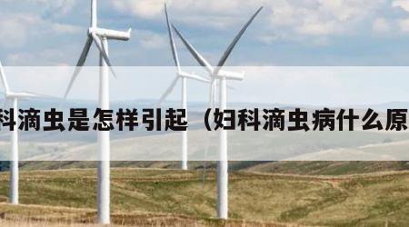 妇科滴虫是怎样引起（妇科滴虫病什么原因）