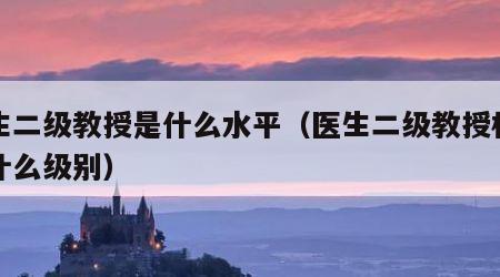 医生二级教授是什么水平（医生二级教授相当于什么级别）