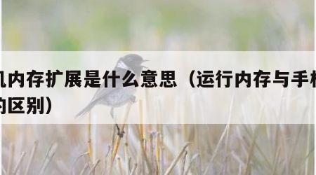 手机内存扩展是什么意思（运行内存与手机存储的区别）