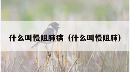 什么叫慢阻肺病（什么叫慢阻肺）