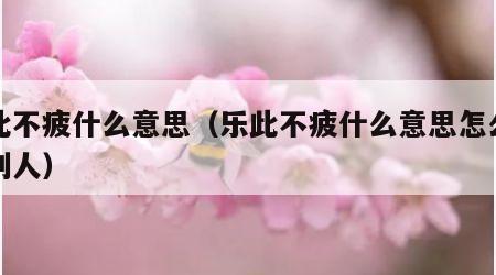 乐此不疲什么意思（乐此不疲什么意思怎么回复别人）