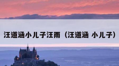 汪道涵小儿子汪雨（汪道涵 小儿子）