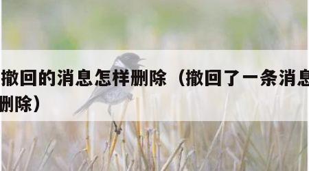 qq撤回的消息怎样删除（撤回了一条消息怎么删除）