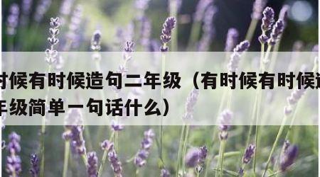 有时候有时候造句二年级（有时候有时候造句二年级简单一句话什么）